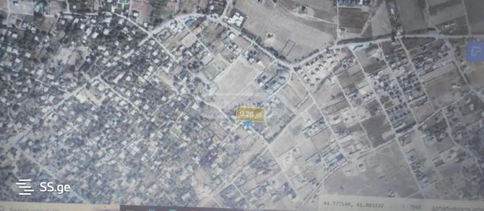 https://static.ss.ge/20251031/10_19cd6eac-e565-4f4a-a6d5-e3c9bbf99e8c_Thumb.jpg