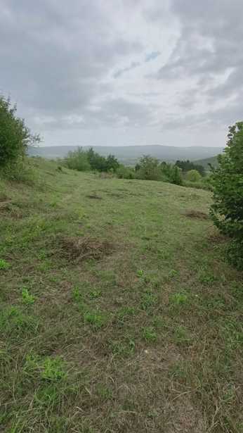 Land For Sale. Tianeti