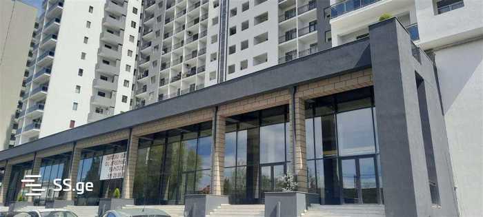https://static.ss.ge/20251031/14_780d3dd2-033c-4874-9c7c-de1ae108999d_Thumb.jpg