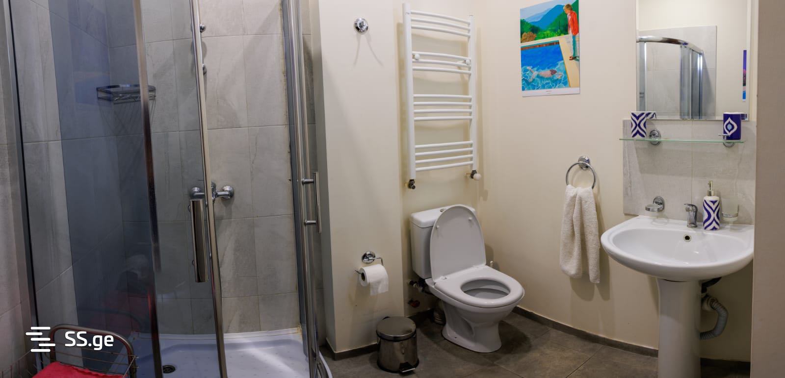 2 Room Flat Daily Rent. Chugureti view 8