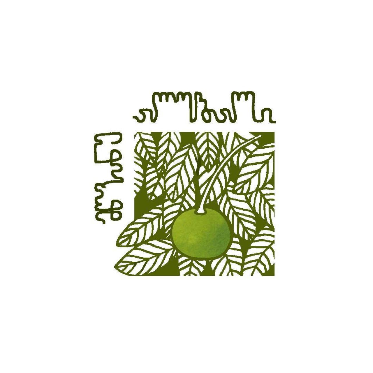 საბავშვო ბაღი მწვანე ალუბალი