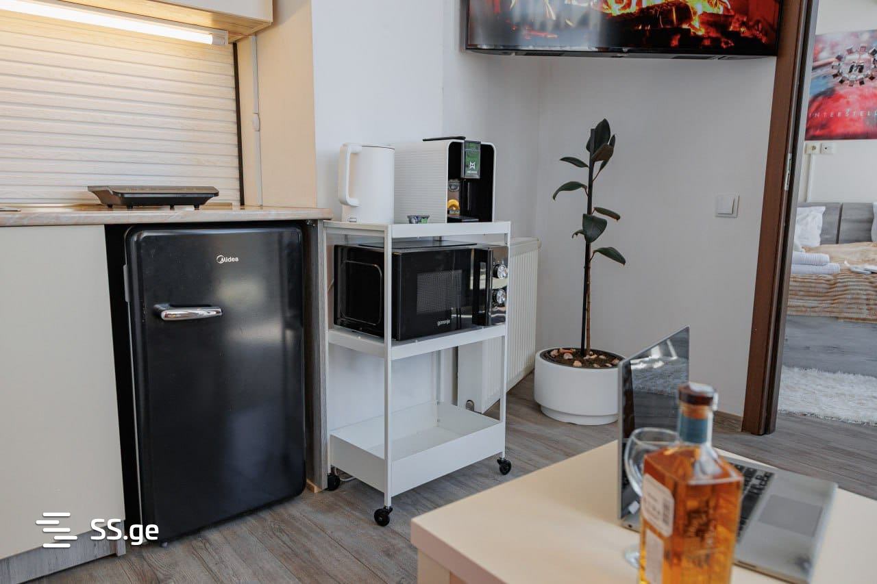 2 Room Flat Daily Rent. Chugureti view 3