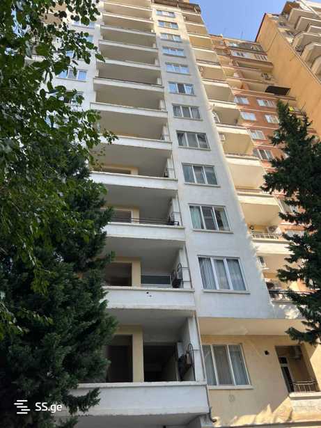 https://static.ss.ge/20251031/1_ce9e3771-fefd-4445-b69b-c66be65bcab4_Thumb.jpg