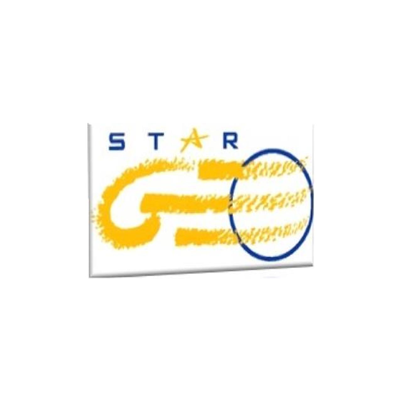 ჯეოსტარი