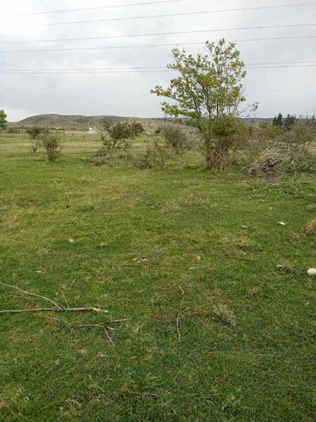 Land For Sale. Varketili  - picture #1