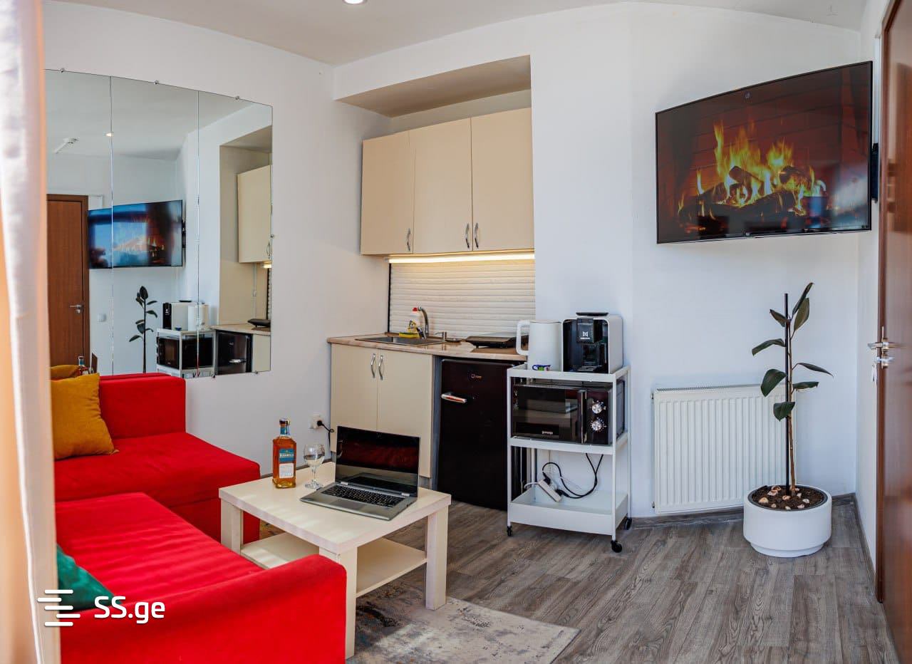 2 Room Flat Daily Rent. Chugureti view 2