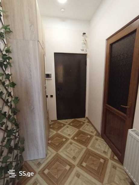 https://static.ss.ge/20251101/14_304ee48c-aca4-40e8-bfc4-7f5bd31ac364_Thumb.jpg