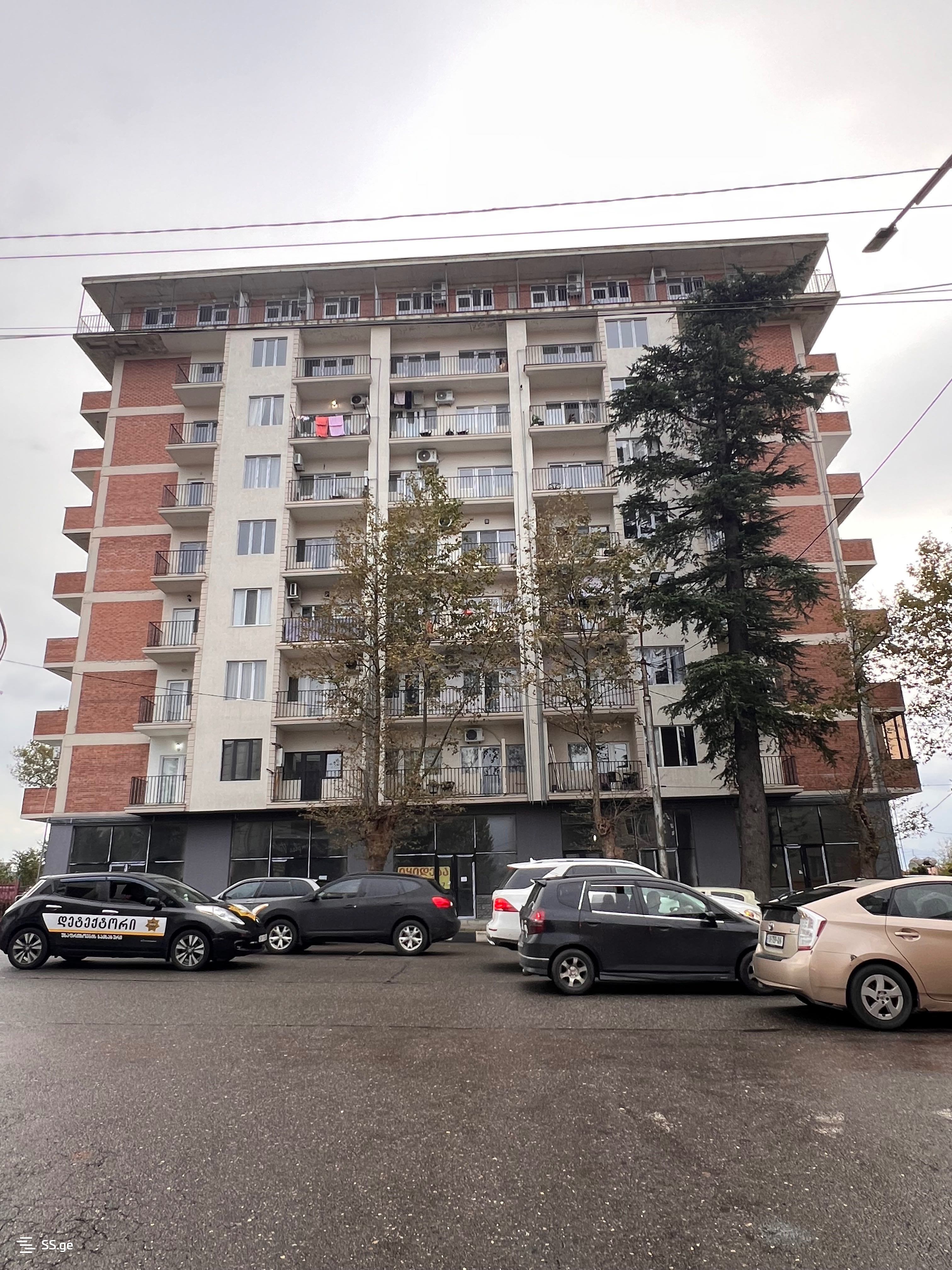 3 Room Flat Daily Rent. Kutaisi view 9