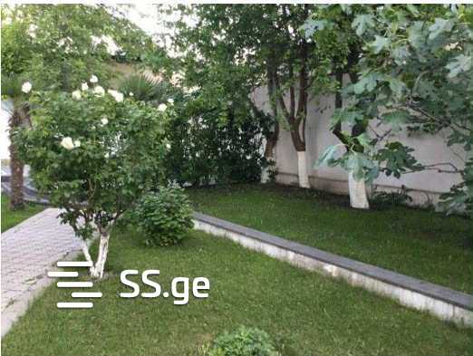Private House For Sale. Krtsanisi view 10