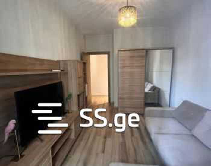 https://static.ss.ge/20251102/15_a01f87d4-2a1e-4923-8bb7-02f6fc40bf52_Thumb.jpg