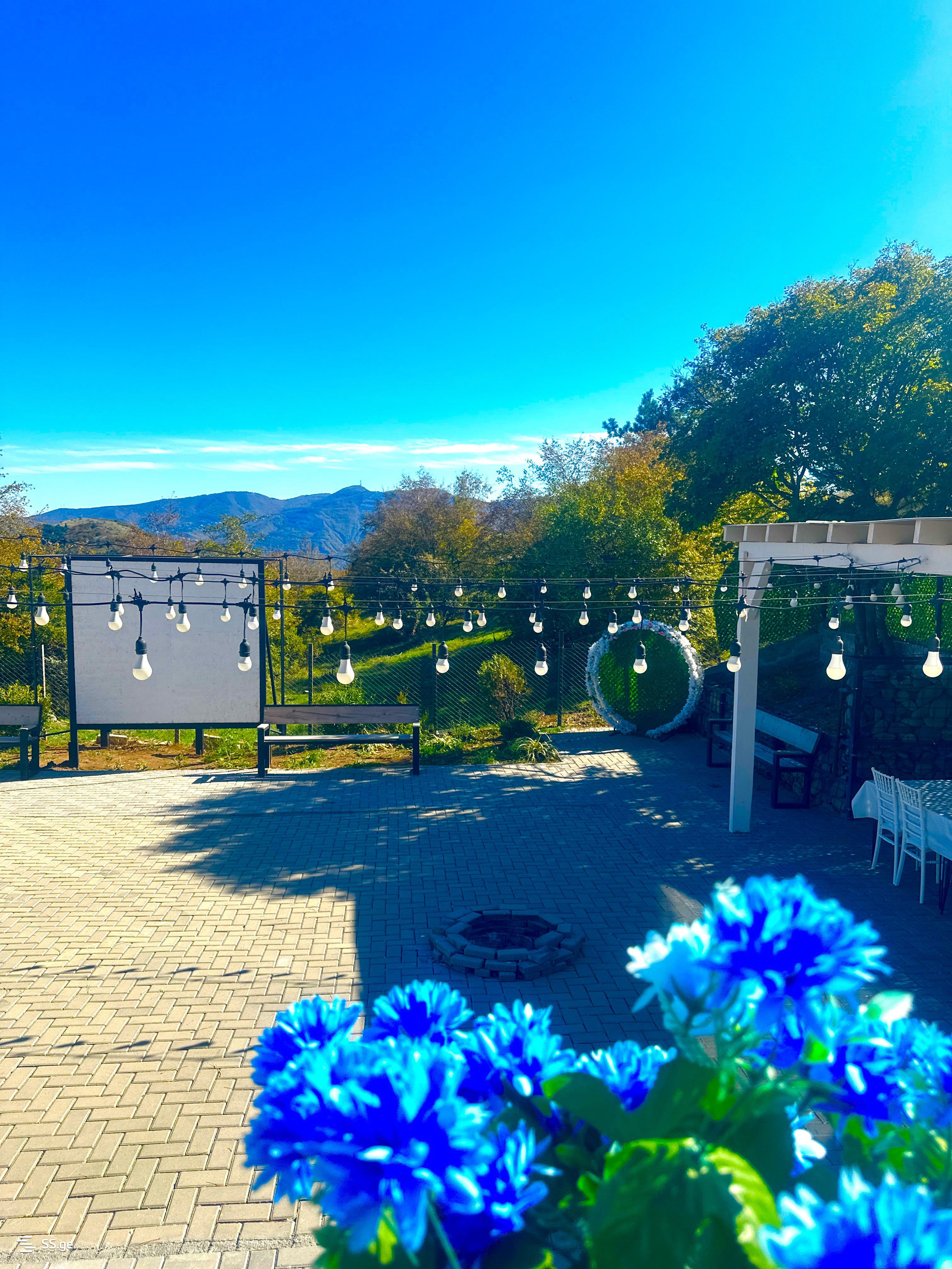 4 Room Private House Daily Rent. Lisi Lake, 9 of 12
