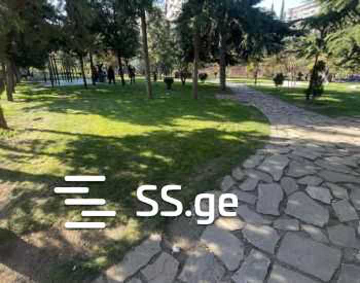 https://static.ss.ge/20251102/18_e4836df7-85fc-47ad-b3da-52d6f52581fc_Thumb.jpg