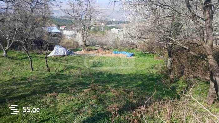https://static.ss.ge/20251103/10_b6c4568b-c719-4141-ba83-69aaa1ff3c0a_Thumb.jpg