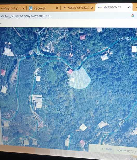 https://static.ss.ge/20251103/12_def77b10-bdac-4e59-8688-4086342dc718_Thumb.jpg