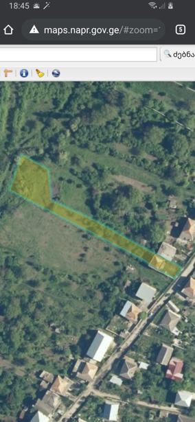 https://static.ss.ge/20251103/17_b79819b1-1b15-4619-a4a8-0c90f66be84f_Thumb.jpg