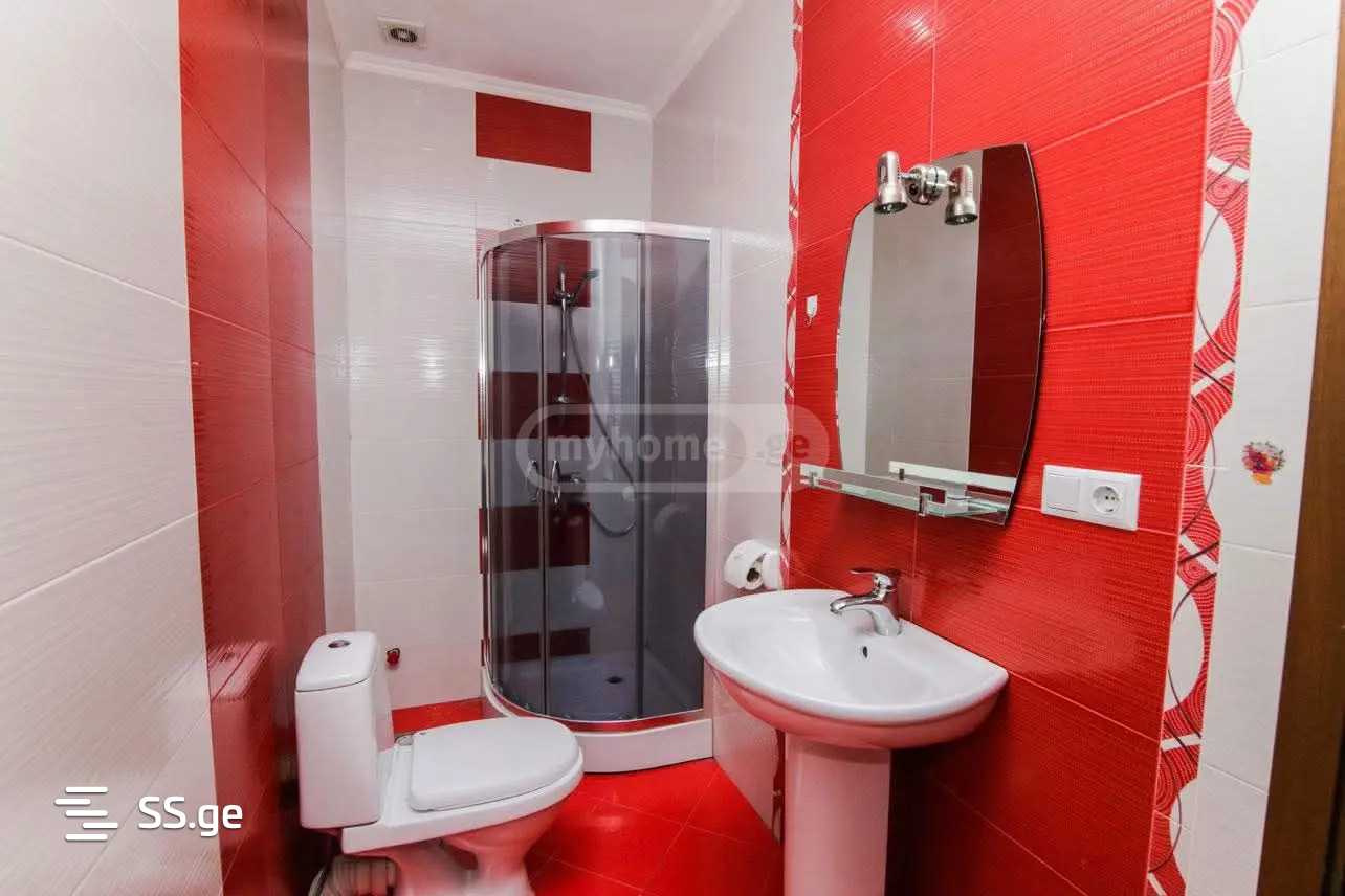 Private House For Rent. Nadzaladevi, 12 of 12