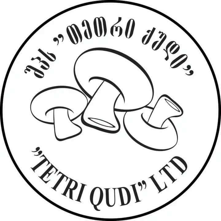 თეთრი ქუდი