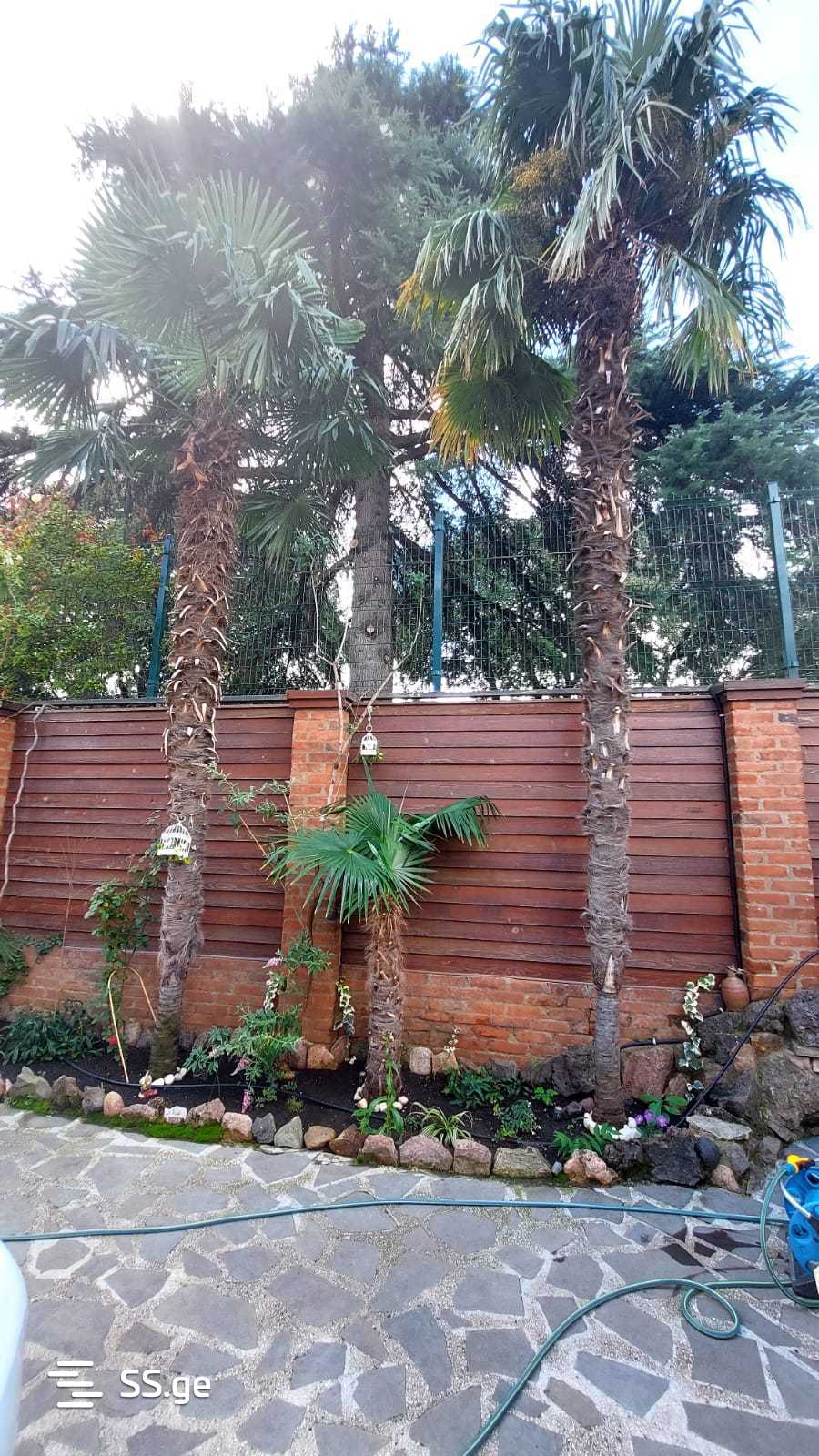 10 Room Hotel For Sale view 2