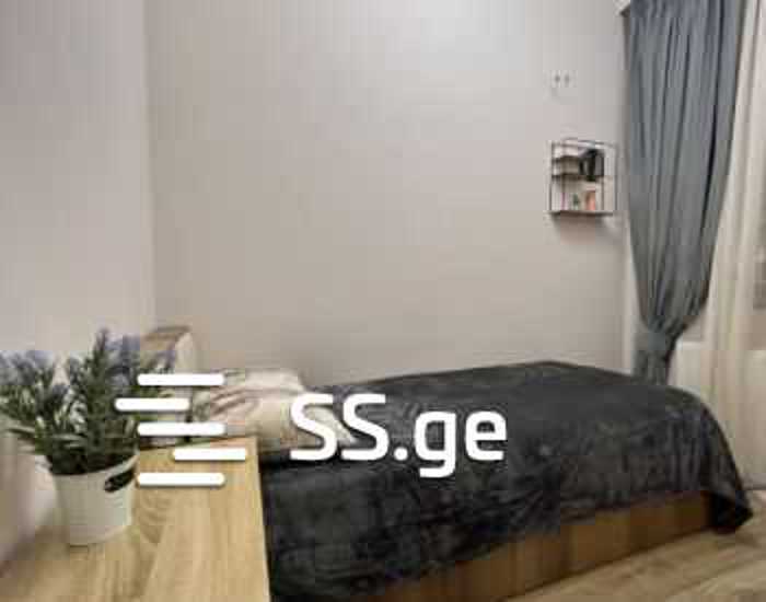 https://static.ss.ge/20251104/13_f9ff07d3-a575-4963-85c3-4414466efc33_Thumb.jpg