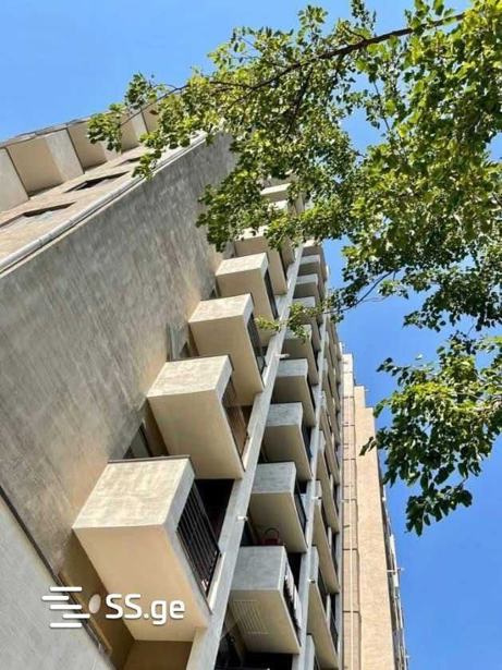 https://static.ss.ge/20251104/2_cf77fe6a-cab1-43ee-a121-bd45d9054af6_Thumb.jpg