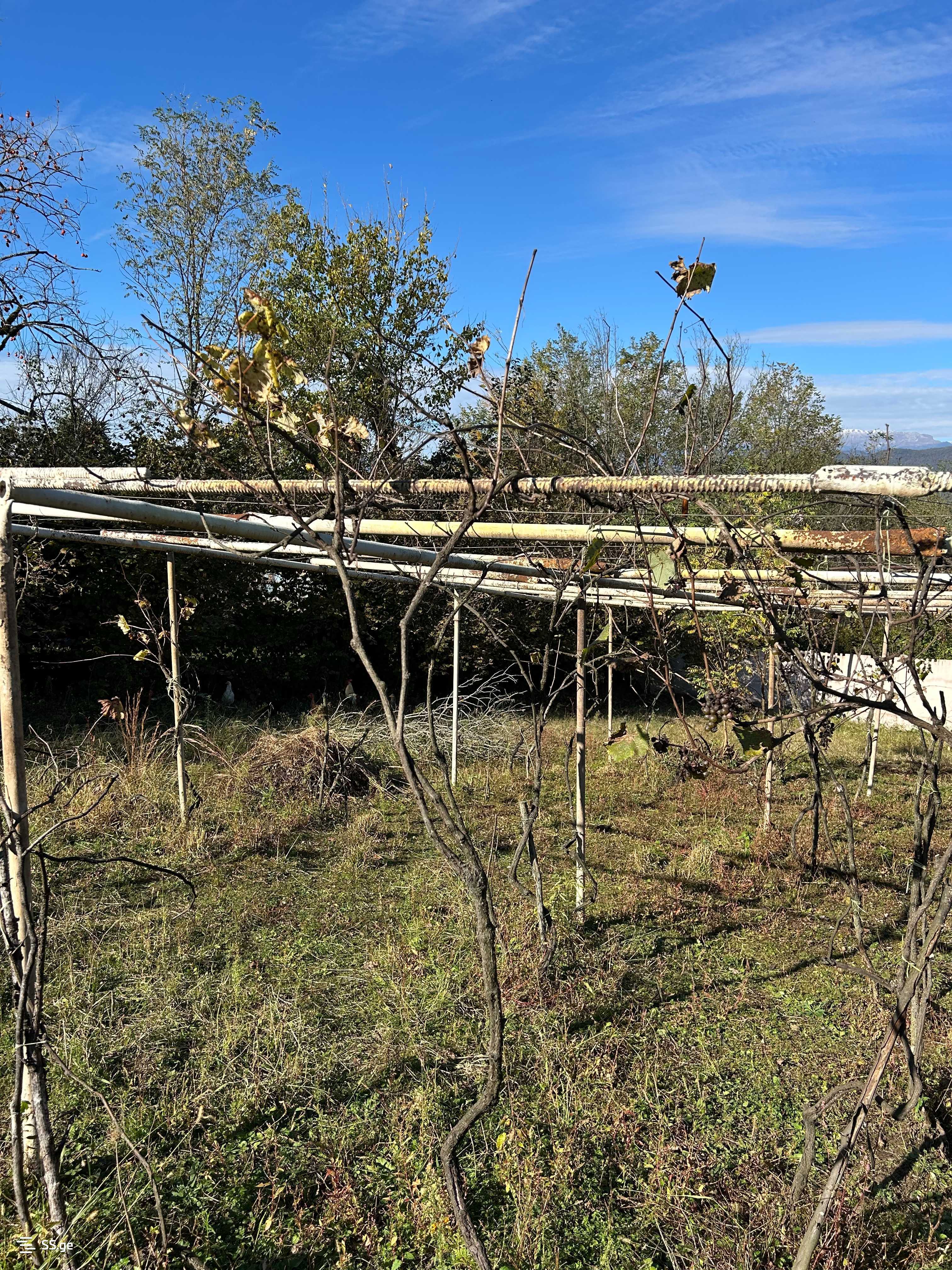 Land For Sale. Tskaltubo view 7