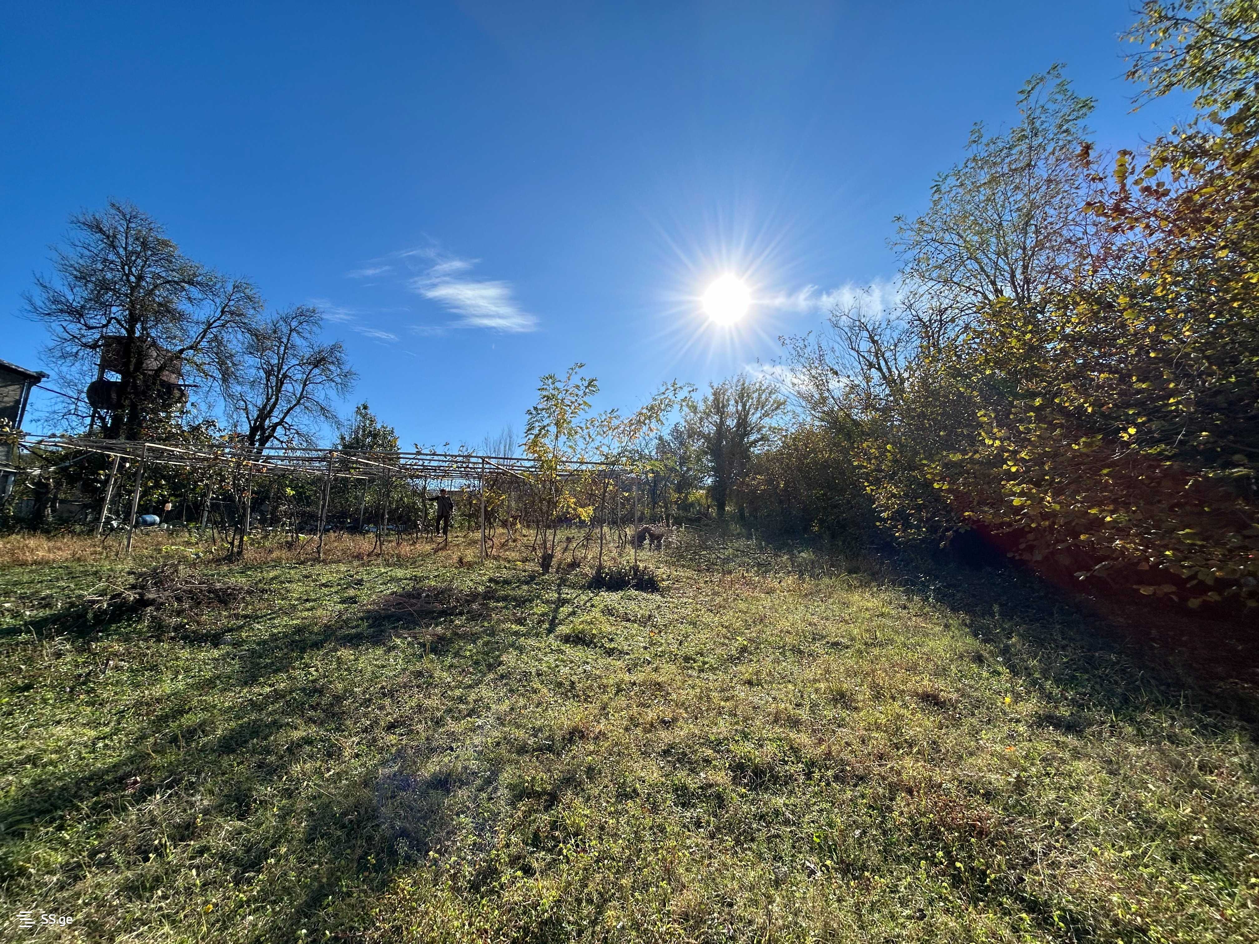 Land For Sale. Tskaltubo view 4