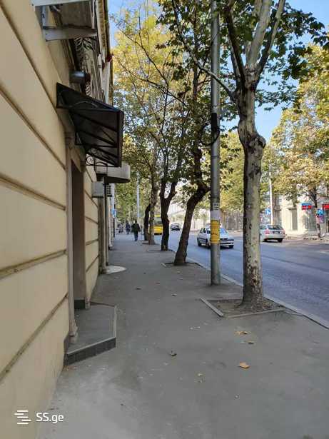 https://static.ss.ge/20251104/9_83a4eeec-3281-42c4-8ff8-680e1e4785b8_Thumb.jpg