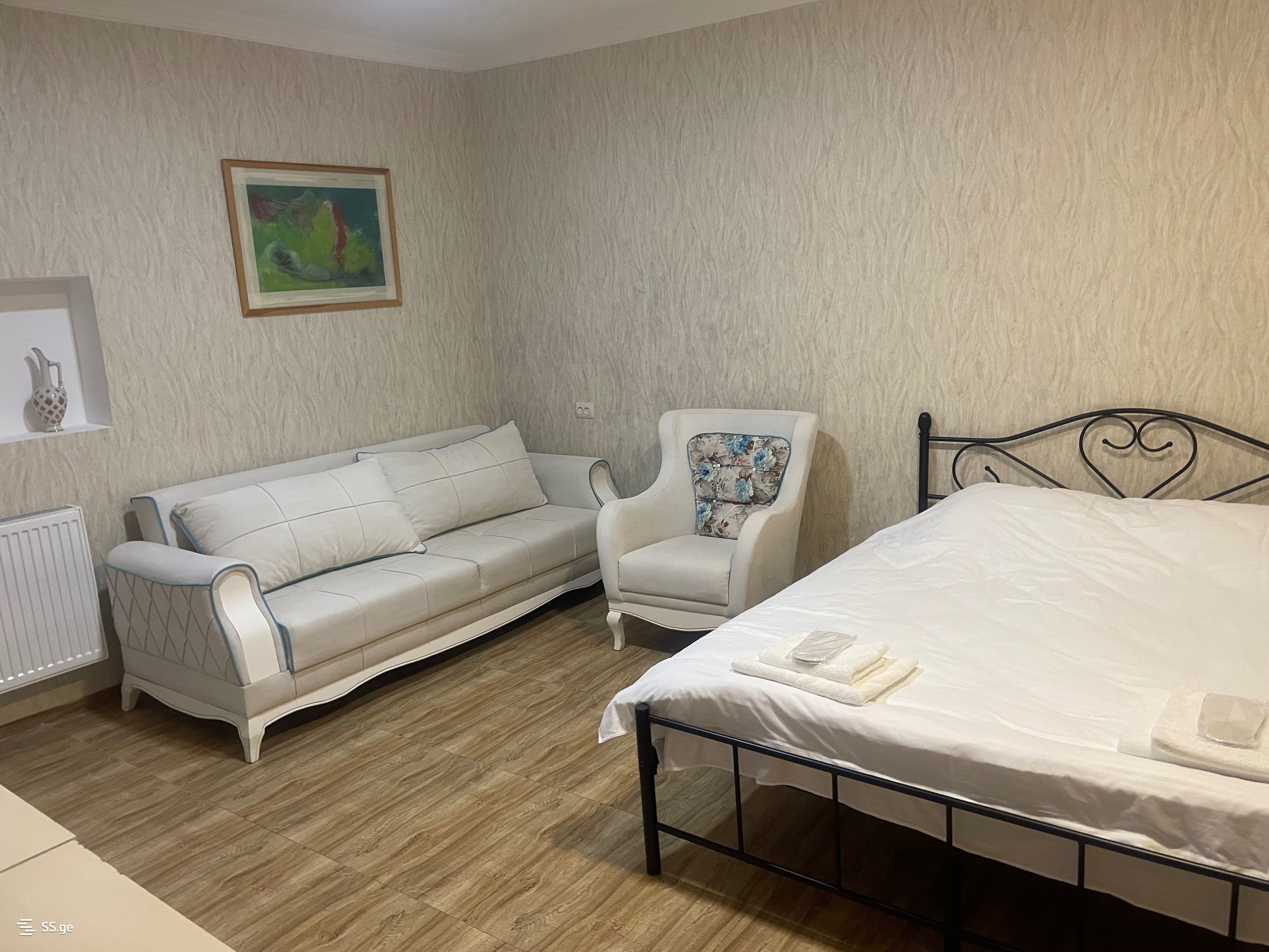 1 Room Flat Daily Rent. Sololaki view 5