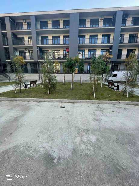 https://static.ss.ge/20251105/15_e350960b-ef13-4809-9324-a58bf162f707_Thumb.jpg