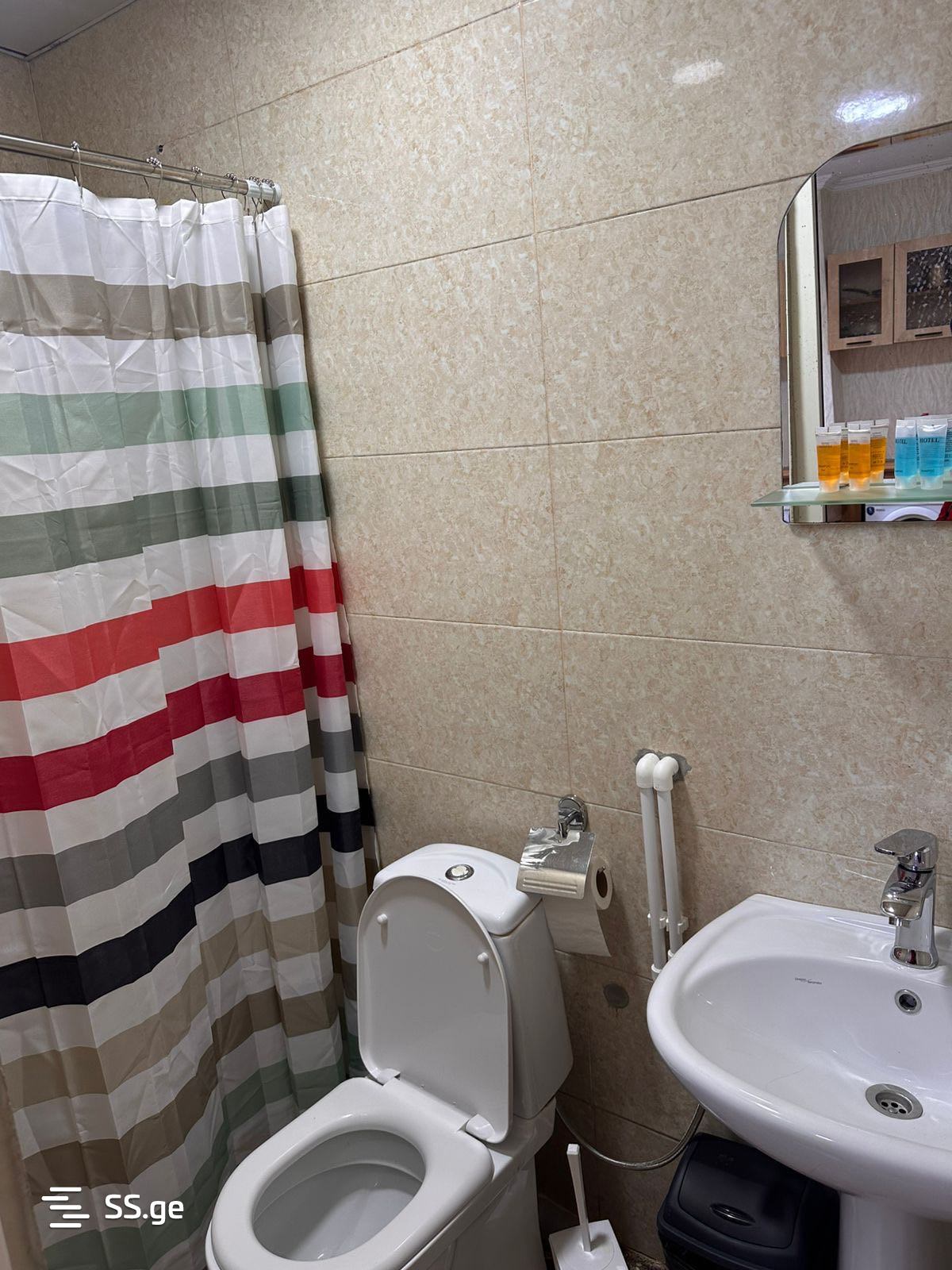 1 Room Flat Daily Rent. Sololaki view 8