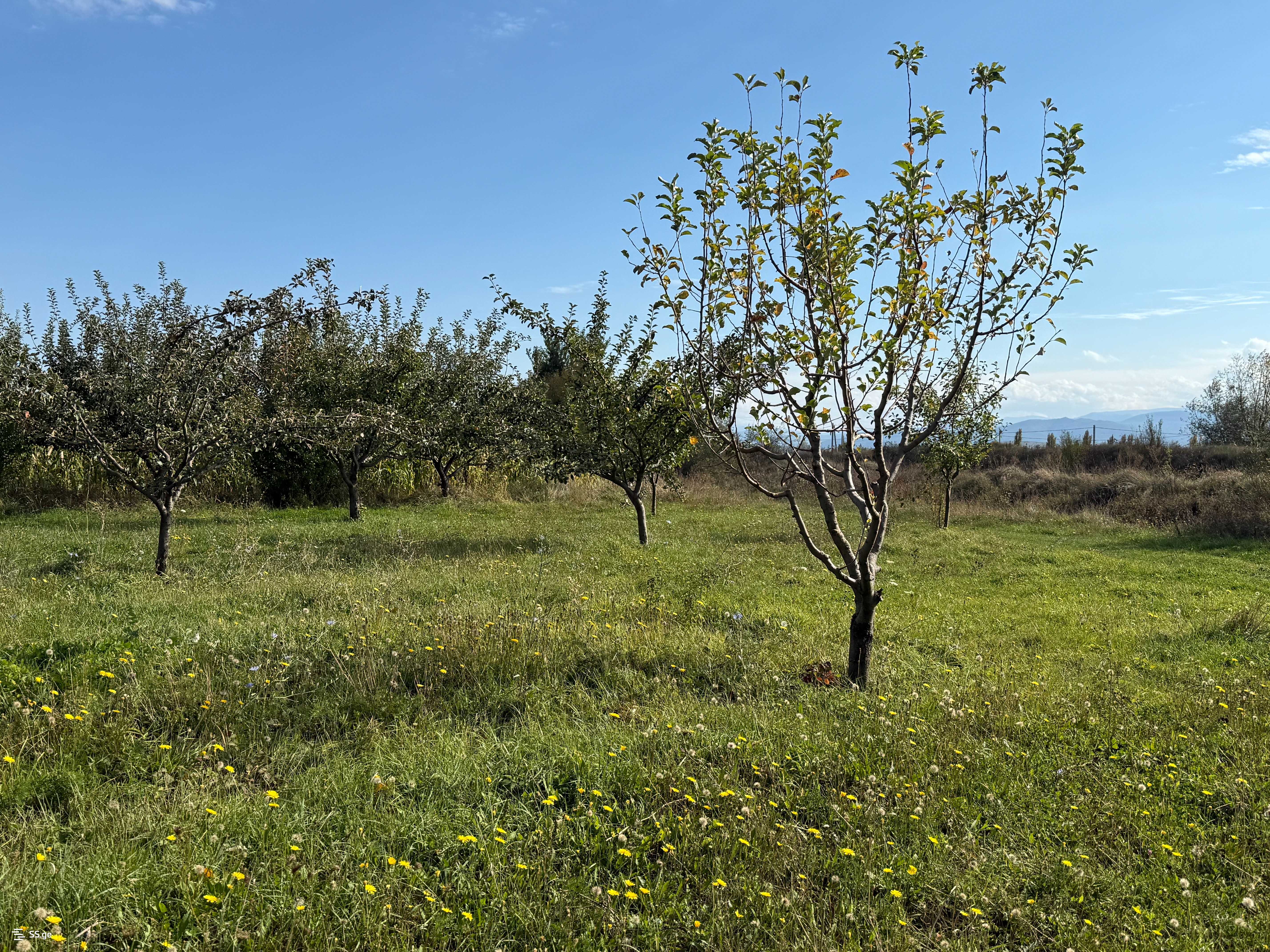 Land For Sale. Gori, 4 of 4