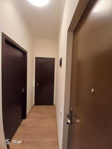 https://static.ss.ge/20251106/10_246f1605-a473-40a6-b8f7-f6052b436893_Thumb.jpg