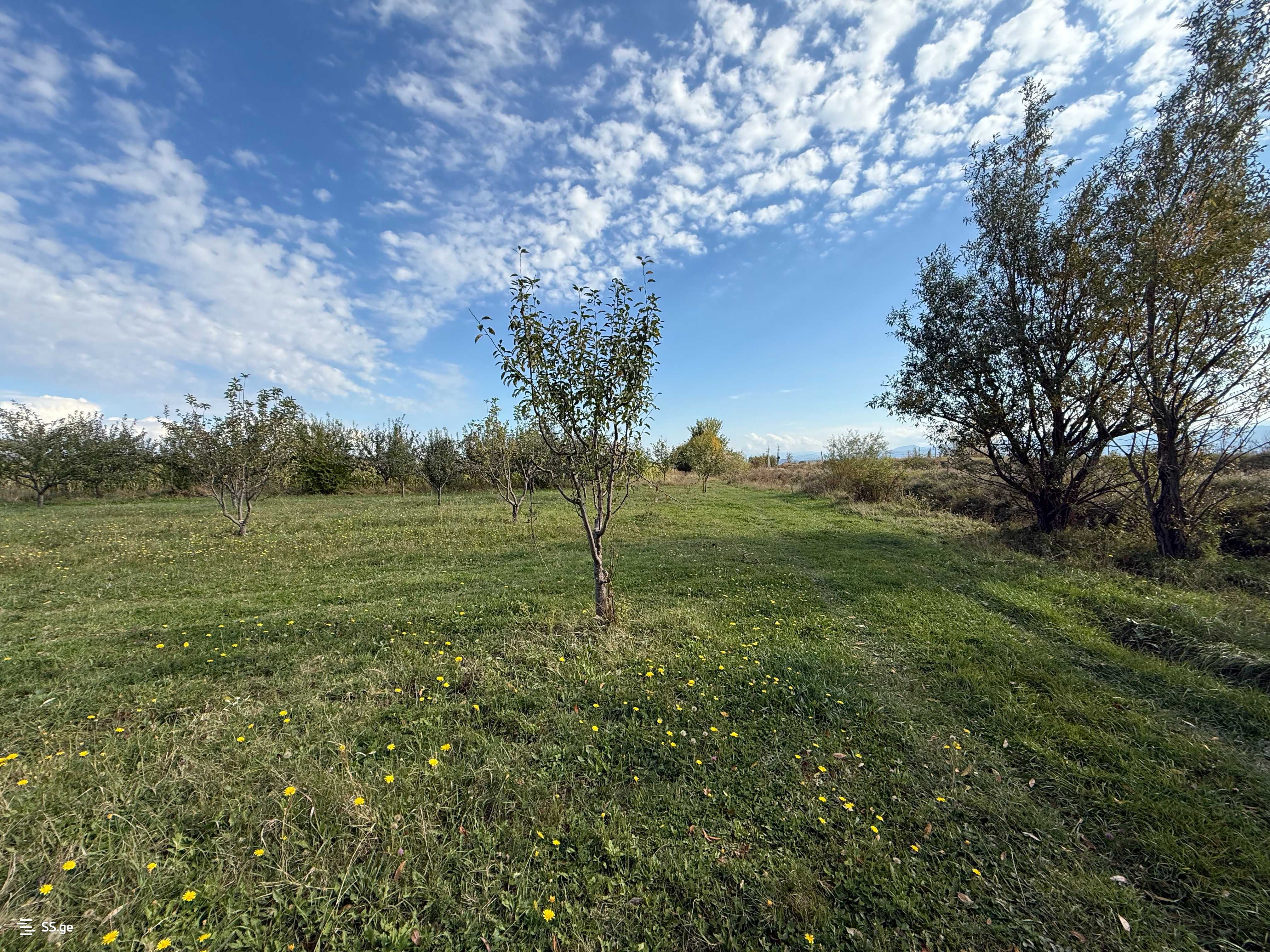 Land For Sale. Gori, 2 of 4