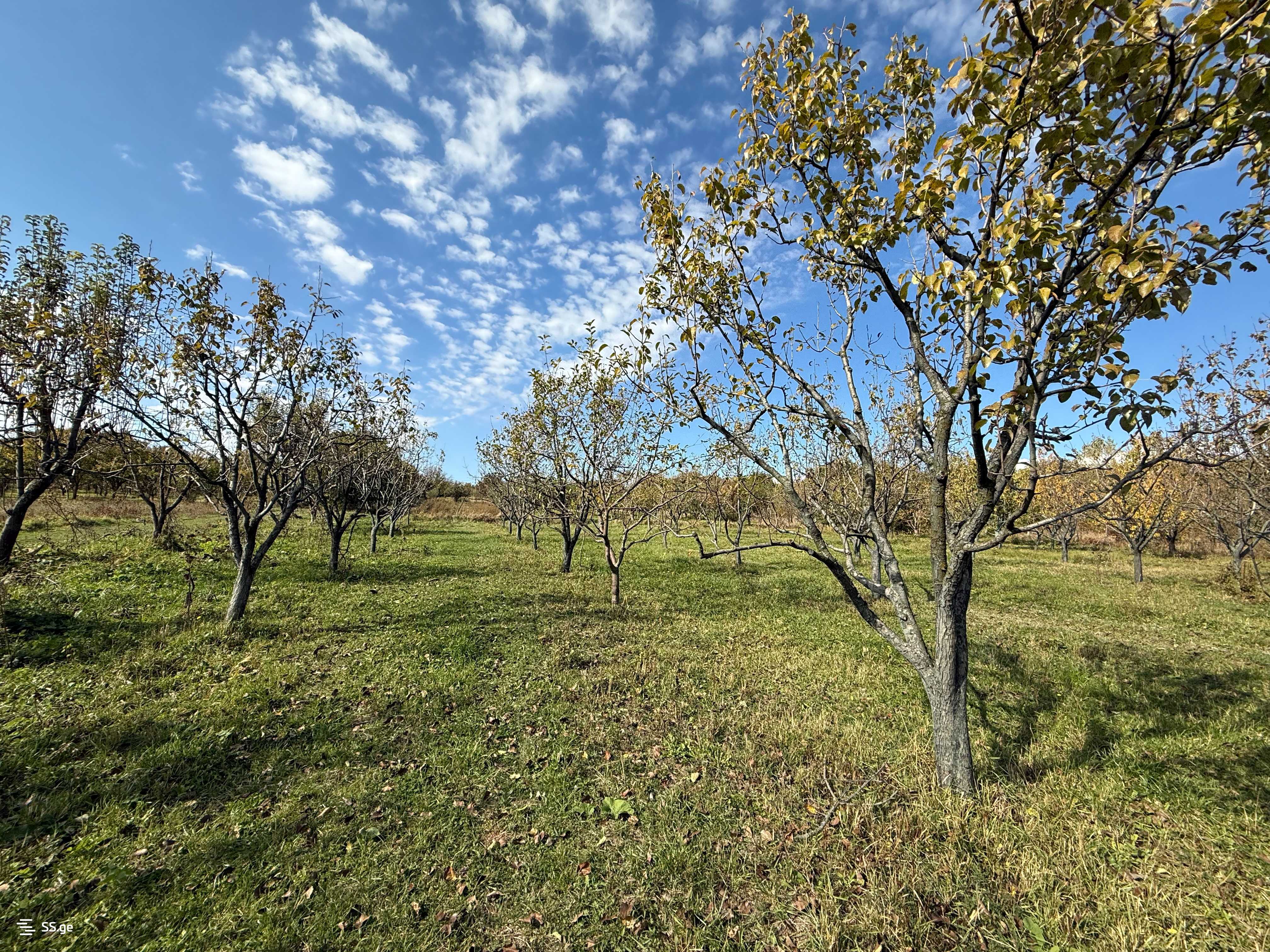 Land For Sale. Gori, 1 of 4