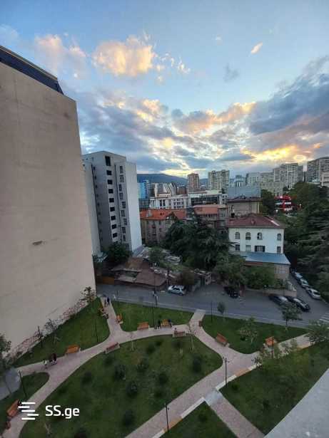 https://static.ss.ge/20251106/13_7c66beb8-91bb-4741-8917-4cee7d308f2f_Thumb.jpg