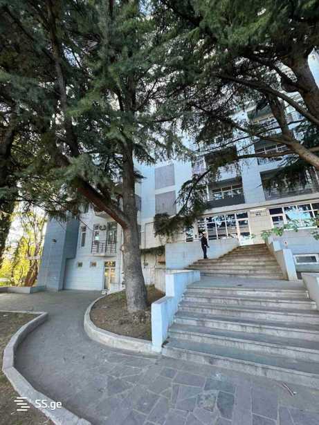 https://static.ss.ge/20251106/19_1bed3ab3-a30e-439b-b295-bece0dfcaad3_Thumb.jpg