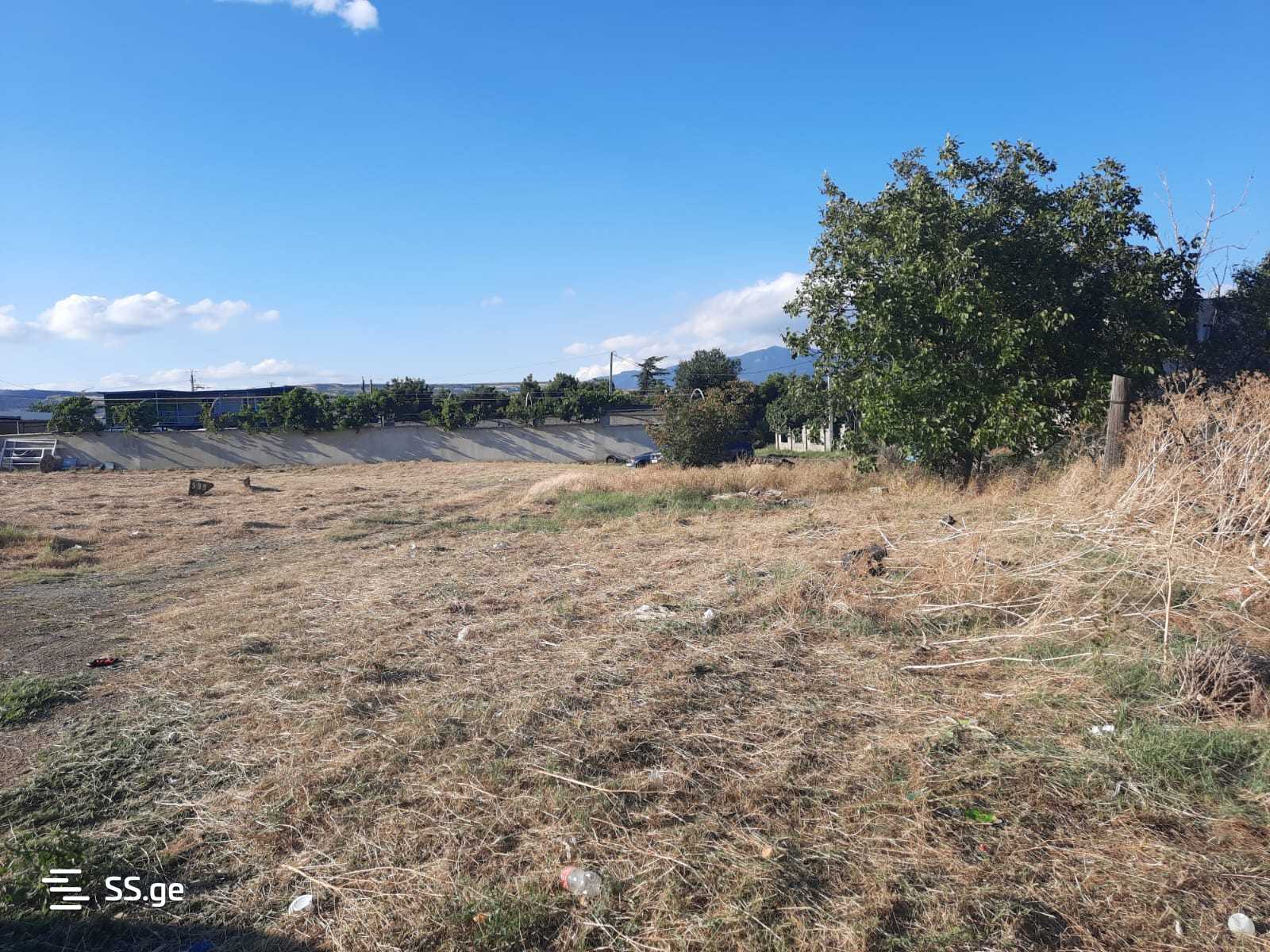 Land For Rent. Didi Digomi view 2