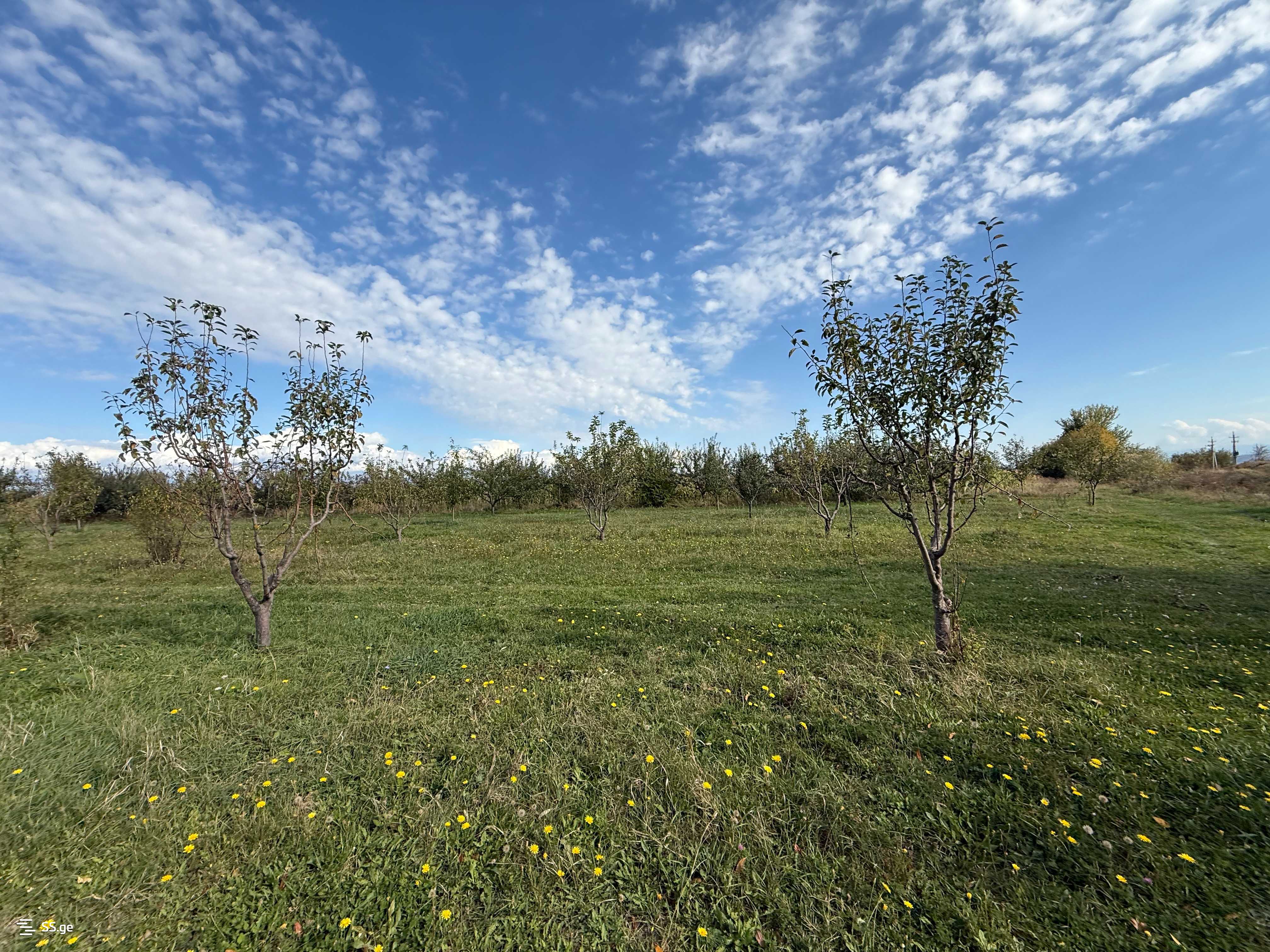 Land For Sale. Gori, 1 of 4