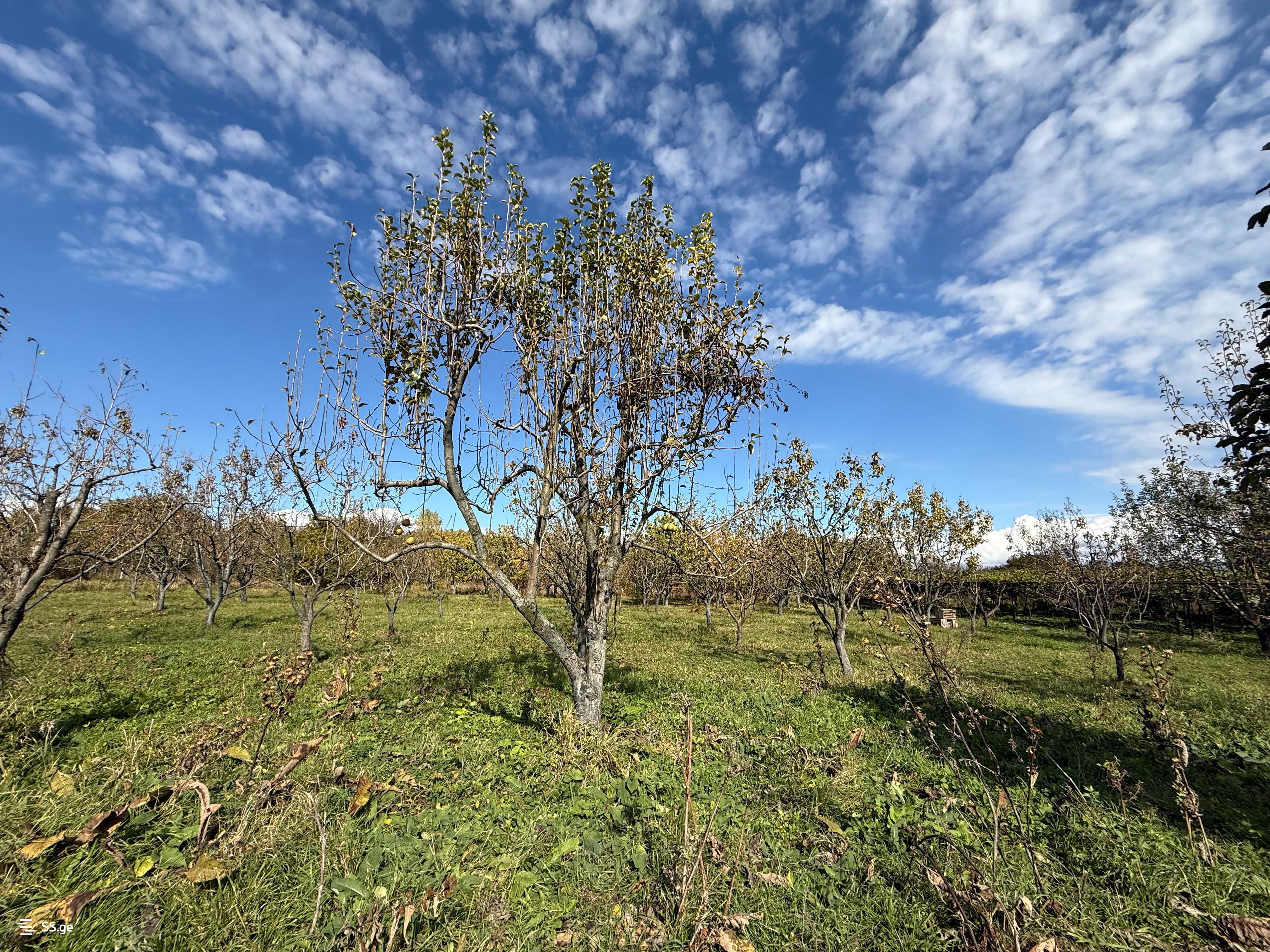 Land For Sale. Gori, 2 of 4