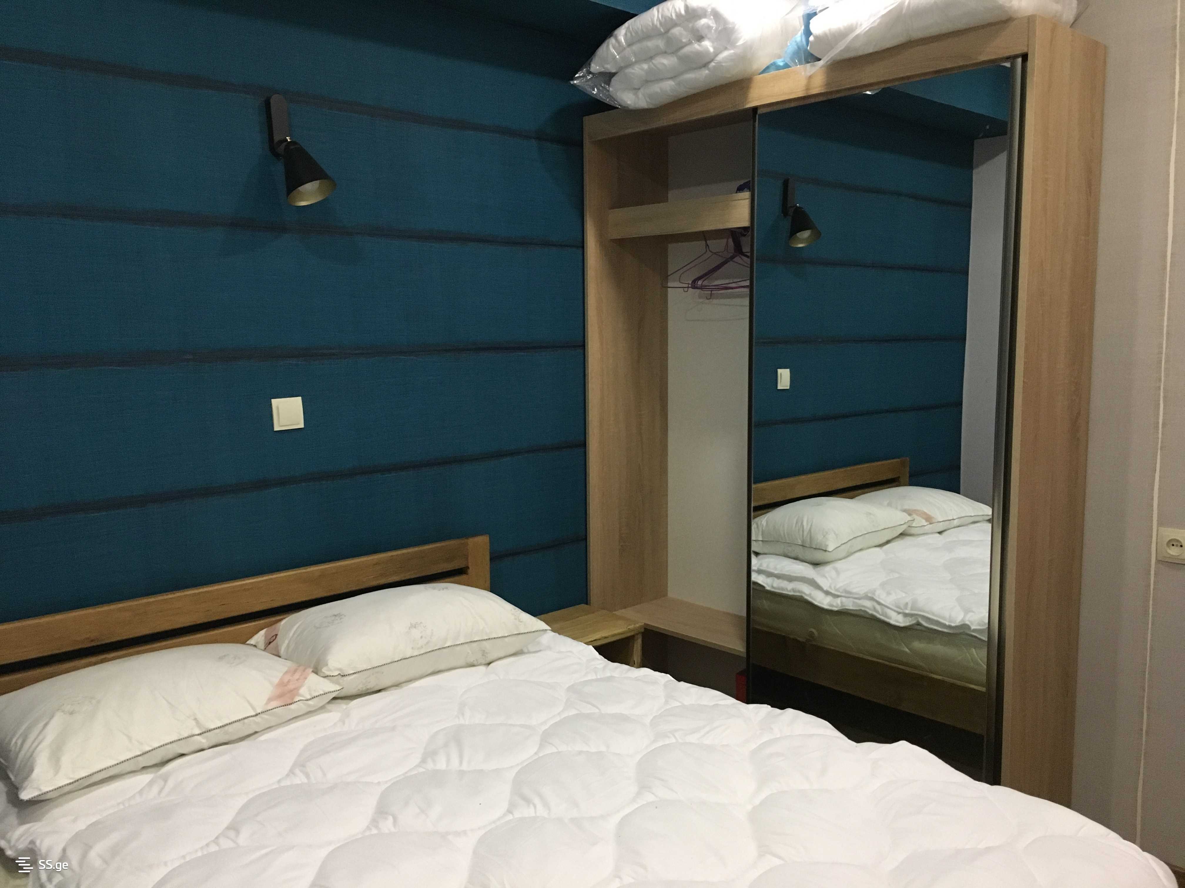 4 Room Summer Cottage Daily Rent. Bakuriani view 3