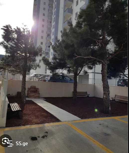 https://static.ss.ge/20251108/4_89fb7eb1-0550-4d96-b2d0-ba18ecfe8af0_Thumb.jpg