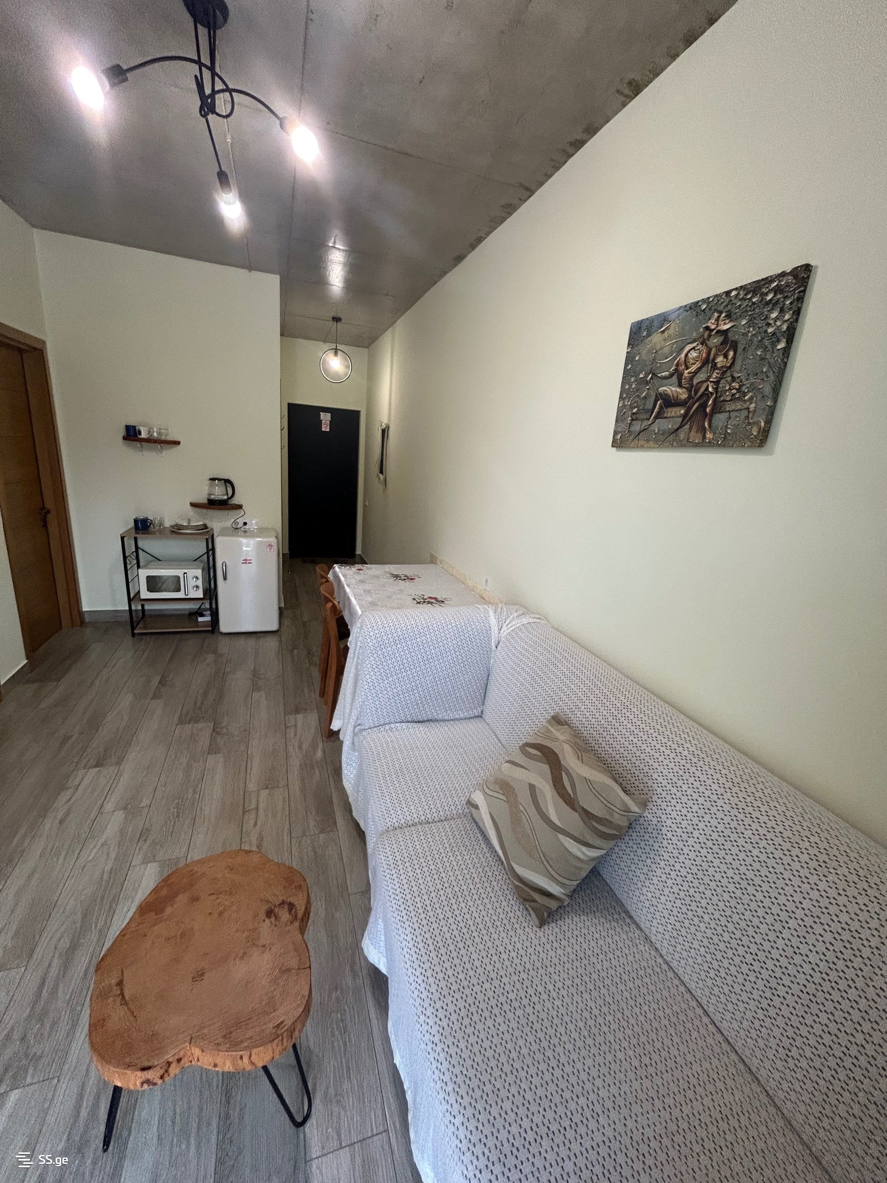 3 Room Flat Daily Rent. Kutaisi view 6