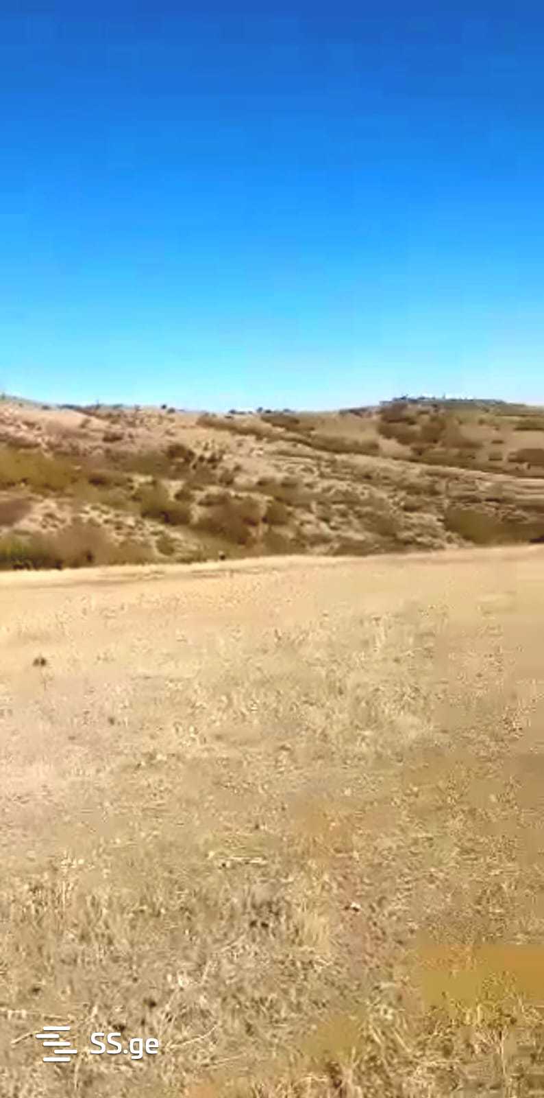 Land For Sale. Tabakhmela view 1