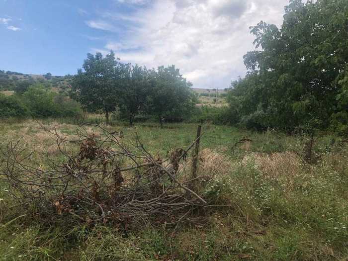 Land For Sale. Jorjiashvili