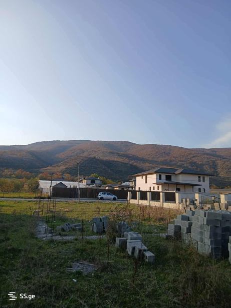 https://static.ss.ge/20251110/12_f32739c4-b046-43af-b243-fa599d9cce7f_Thumb.jpg