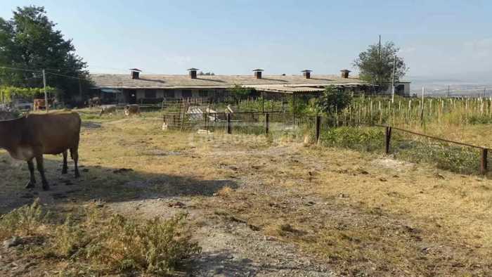 Land For Sale. Gardabani