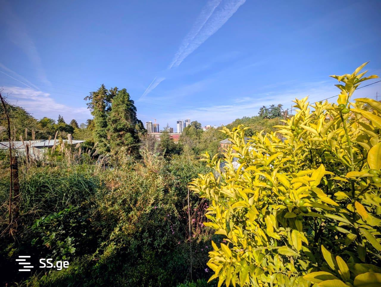 2 Room Summer Cottage For Sale view 9