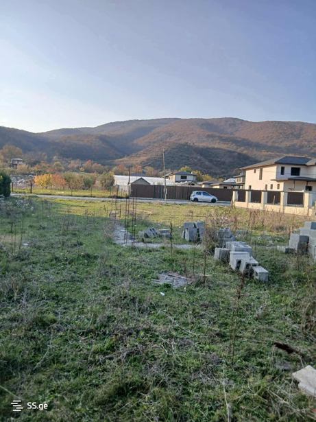 https://static.ss.ge/20251110/18_a935ef5f-e4f9-45e6-b9ef-77cf3cbcc250_Thumb.jpg