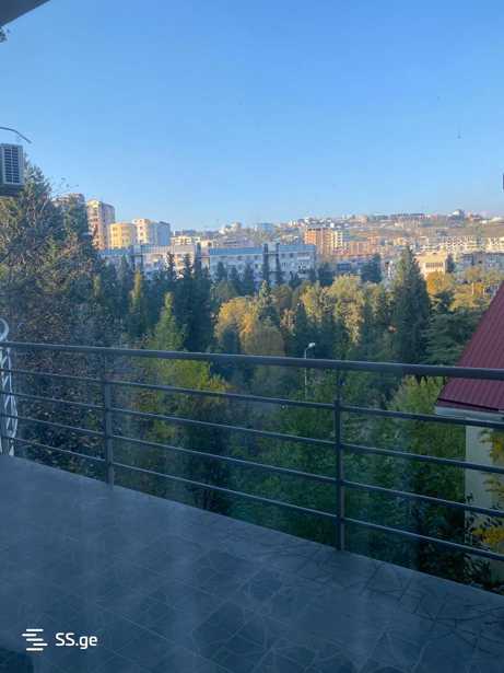 https://static.ss.ge/20251110/19_b5496457-4cbf-46eb-84e0-7b99300a0618_Thumb.jpg