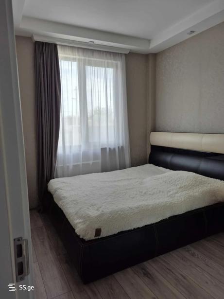 https://static.ss.ge/20251111/13_348c9c0c-3662-4485-bb92-1e03231f24ea_Thumb.jpg